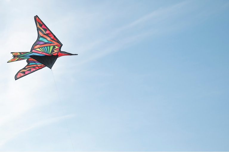 beautiful-kite-against-clear-sky_23-2149326310